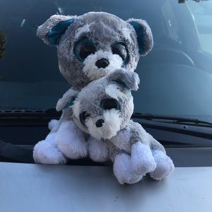 Meet your Posher, Ramiro